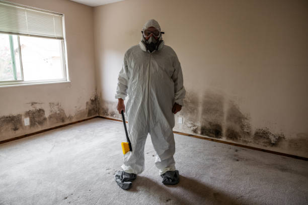 Best Commercial Mold Remediation in Waupun, WI